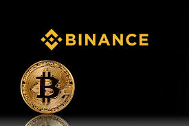 Binance Coin Price Prediction as BNB ...